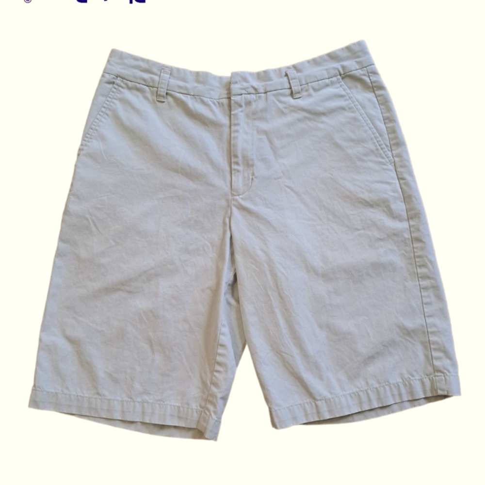 Patagonia Shorts Size 8
